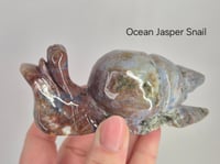 Image 1 of Jasper 