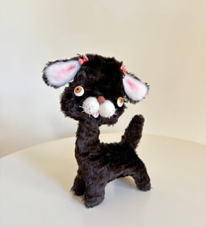 Image of  Romeo the Puppy Dog