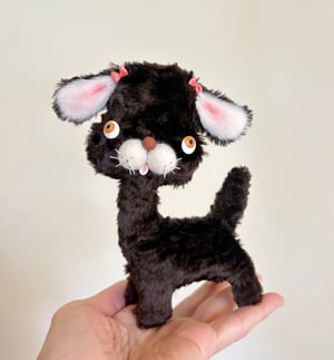 Image of  Romeo the Puppy Dog