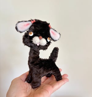 Image of  Romeo the Puppy Dog