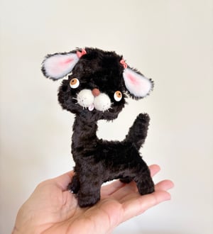 Image of  Romeo the Puppy Dog