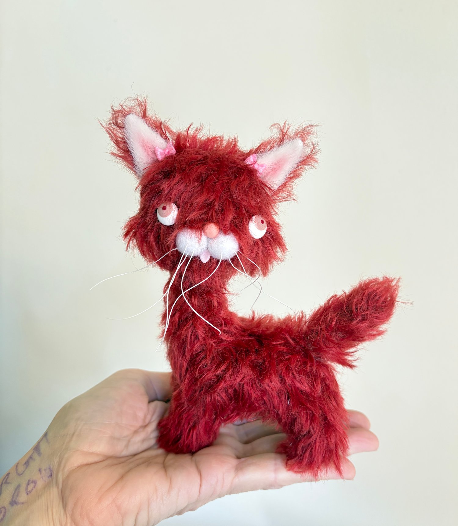 Image of Ruby the the Alley Cat