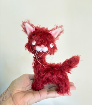 Image of Ruby the the Alley Cat