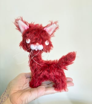 Image of Ruby the the Alley Cat