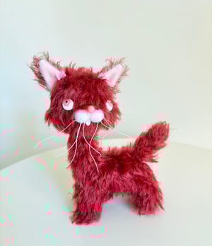 Image of Ruby the the Alley Cat