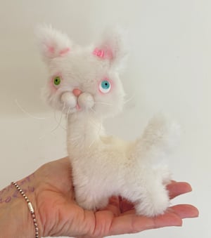 Image of Gracie the the Alley Cat