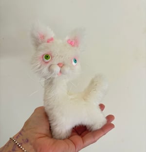 Image of Gracie the the Alley Cat