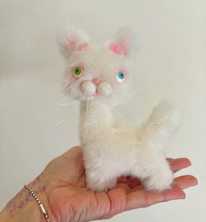 Image of Gracie the the Alley Cat