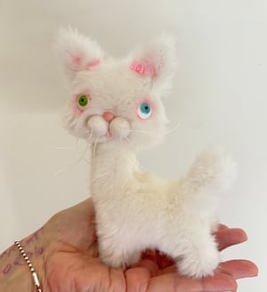 Image of Gracie the the Alley Cat