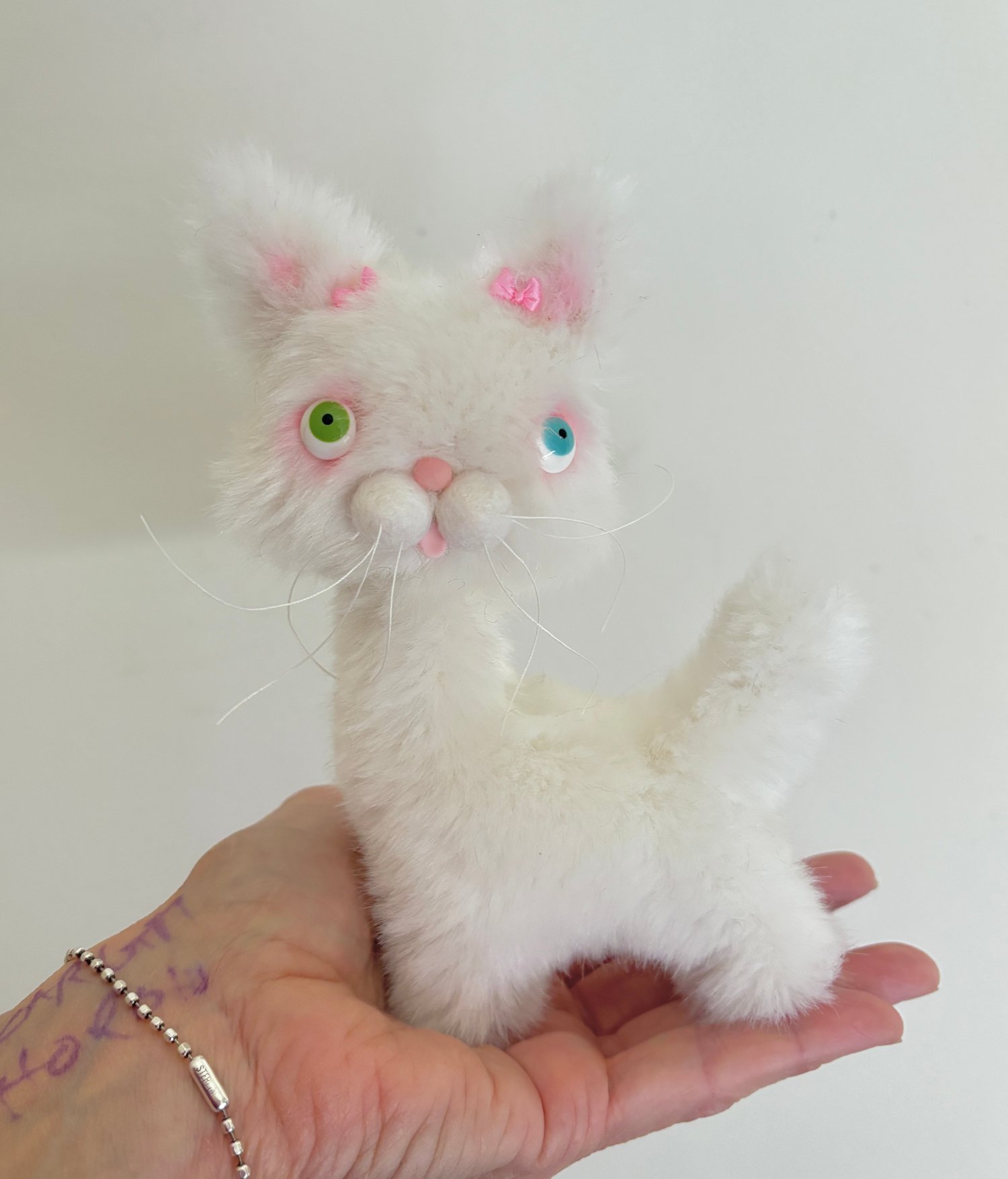 Image of Gracie the the Alley Cat