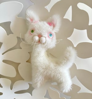 Image of Gracie the the Alley Cat