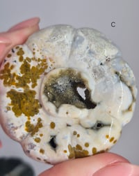 Image 5 of Halloween 🎃 