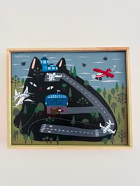 Image 1 of Cat Airport