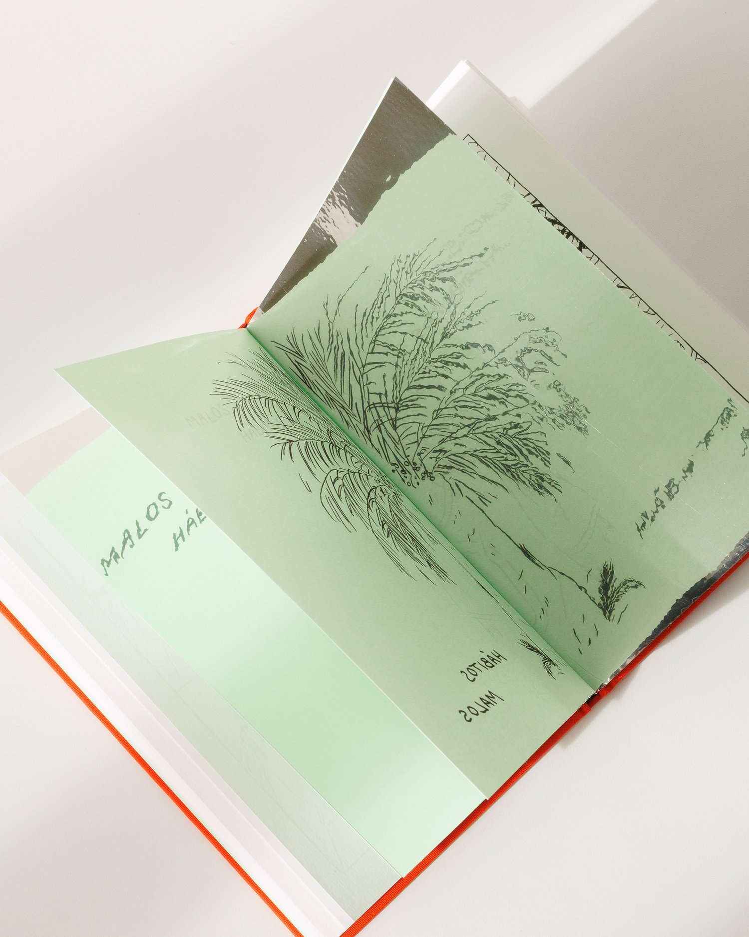 Image of MALOS HÁBITOS