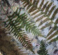 Image 8 of Handmade Paper Mache Bowl with Ferns | Botanical Eco Decor – ArtMood