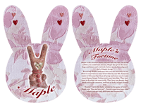 Image 2 of Bunny Love Prophet Mystery box!