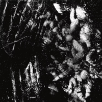 Asmodexia - Sentient Mass of Merging Bodies CS