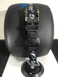 Image 2 of FEBRUARY Special on the FLASH Straps.