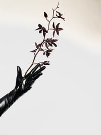 Image 5 of ❦ 𝔉𝔩𝔬𝔯𝔞𝔩 𝔊𝔬𝔱𝔥 ❦ Eau De Parfum 10ml