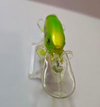 Image 2 of Bass Deep Dive 