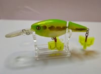 Image 3 of Bass Deep Dive 