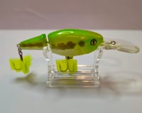 Image 1 of Bass Deep Dive 