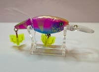 Image 1 of Candy Land Deep Dive 