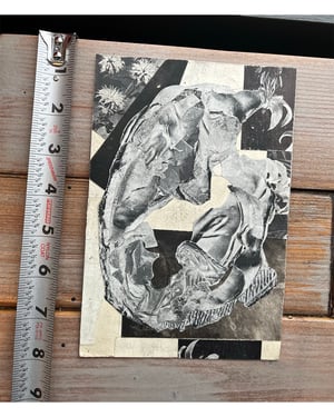 untitled [handcut paper collage]