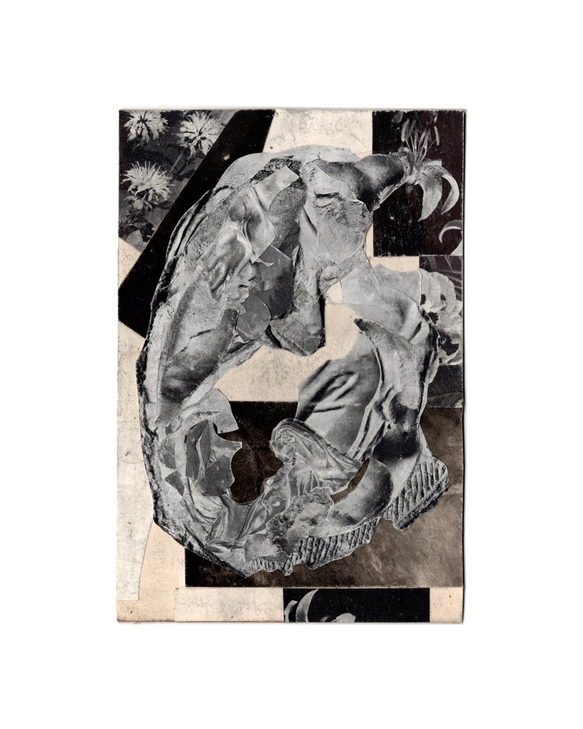 untitled [handcut paper collage]