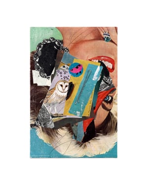 patrician, petal [handcut paper collage]