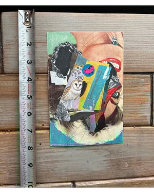 patrician, petal [handcut paper collage]