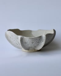 Image 1 of Astra Medium Bowl