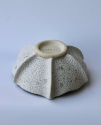 Image 2 of Astra Medium Bowl