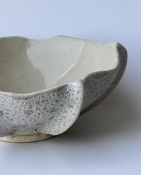 Image 3 of Astra Medium Bowl