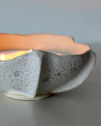 Image 4 of Astra Medium Bowl