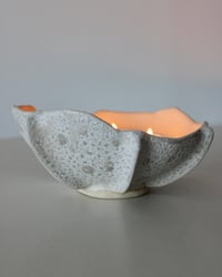 Image 5 of Astra Medium Bowl