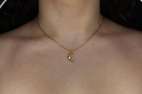 Image 1 of Celestial Moon