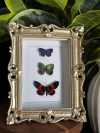 METALLIC BUTTERFLY TRIO