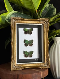 METALLIC GREEN BUTTERFLY TRIO - gold ornate