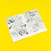 Image 2 of FLY BOY 2 DE MANGY SHEEP