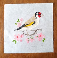 Image 2 of Goldfinch and Blossom