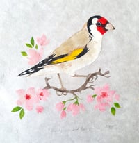 Image 1 of Goldfinch and Blossom