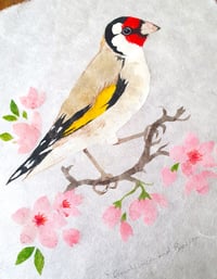 Image 3 of Goldfinch and Blossom