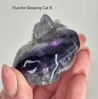 Image 6 of Fluorite Sleeping Cat 