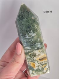 Image 2 of Clearance 