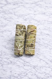 Eucalyptus Smudge Stick