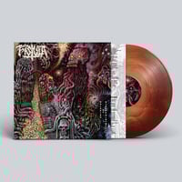 Image 1 of FISTULA - Galaxies Of Disappointment LP PRE-ORDER 