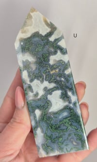Image 17 of Moss Agate Towers 