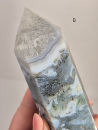 Image 4 of Larger Moss Towers