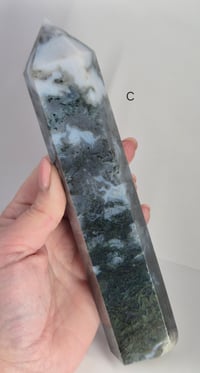 Image 5 of Larger Moss Towers